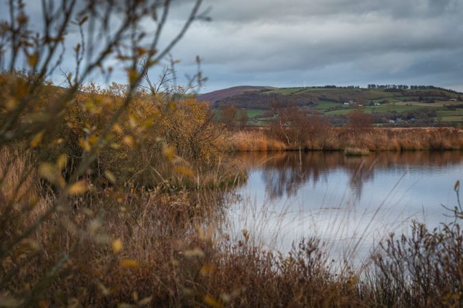 Cors Fochno bog Cors Fochno bog